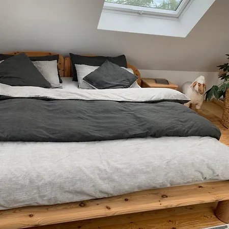 Appartement Komfort Maisonettewohnung *